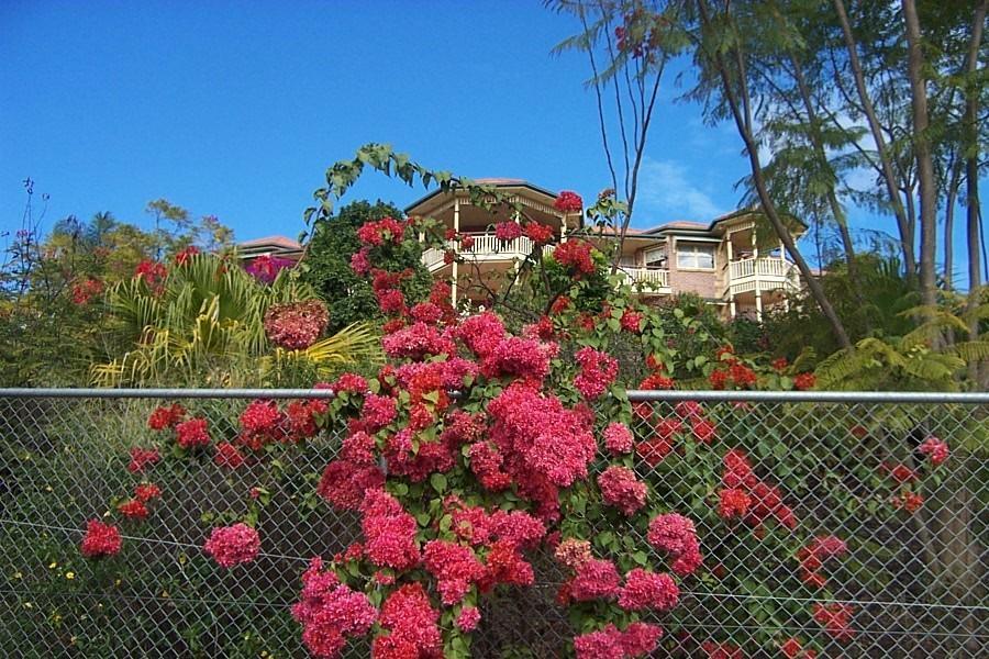 شقة Tranquil Garden Hideaway Ormeau المظهر الخارجي الصورة